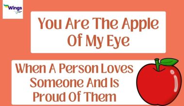 you are the apple of my eye meaning
