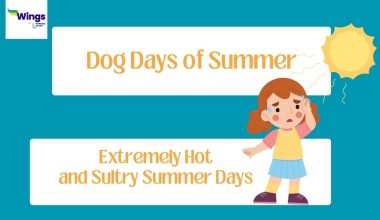 Dog-Days-of-Summer-Meaning