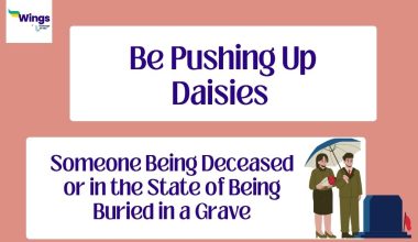 Be-Pushing-Up-Daisies