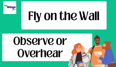 fly on the wall