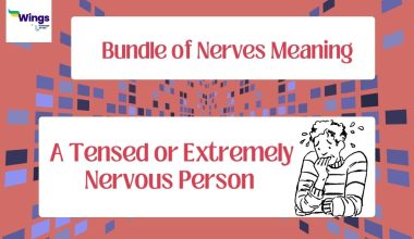 Bundle-of-Nerves-Meaning