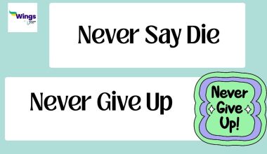 never say die