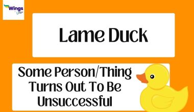 lame duck