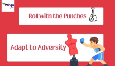 Roll-with-the-Punches-Meaning