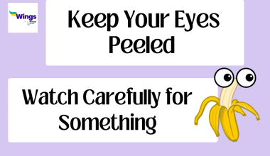 Keep your eyes peeled meaning