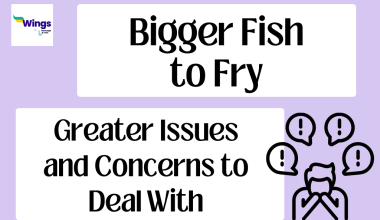 bigger fish to fry
