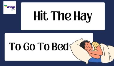 hit the hay meaning