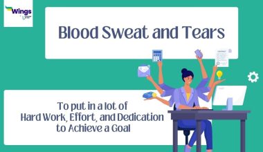 Blood-Sweat-and-Tears-meaning