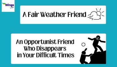 A-Fair-Weather-Friend-Idiom