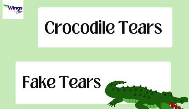 Crocodile Tears idiom meaning