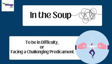 In-the-Soup-meaning