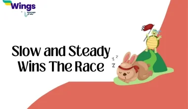 Slow and Steady Wins the Race