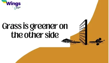 Grass is Green on the other side