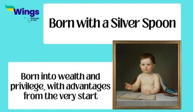 Born with a Silver Spoon idiom meaning