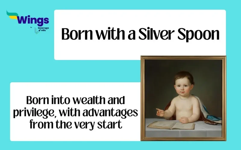 Born with a Silver Spoon idiom meaning