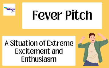 Fever Pitch Meaning, Usage With Example, Synonyms | Leverage Edu Explore