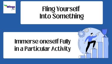 Fling-yourself-into-something-idiom