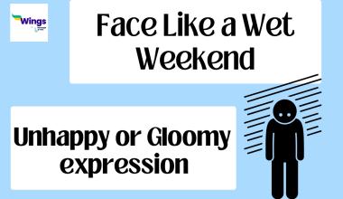 Face Like a Wet Weekend