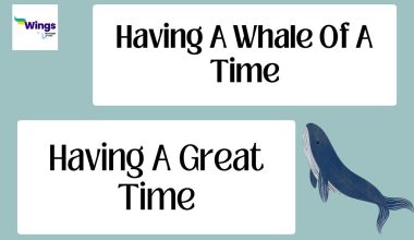 Having A Whale of Time