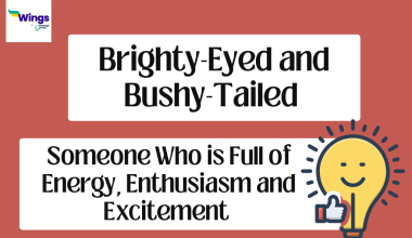 Brighty-Eyed and Bushy-Tailed Meaning