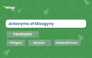 11+ Antonyms of Misogyny with Meaning and Examples | Leverage Edu Explore