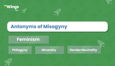 Antonyms-of-Misogyny