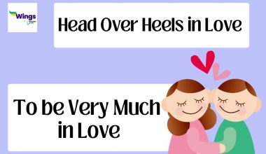 Head-Over-Heels-in-Love-idiom