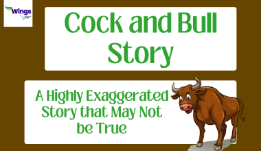Cock and Bull Story Meaning