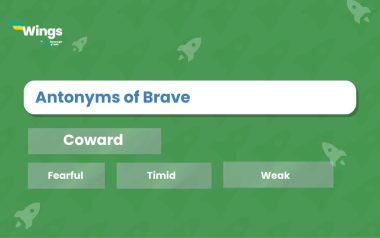 Antonyms of Brave with Meaning and Examples | Leverage Edu Explore