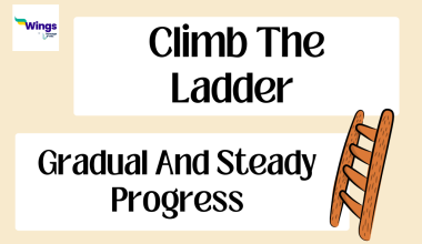 Climb the Ladder Idiom Meaning, Examples, Synonyms, and Quiz