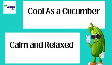 Cool as a cucumber
