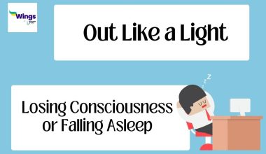 out-like-a-light-meaning