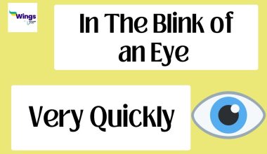 In the blink of an eye