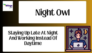 Night owl