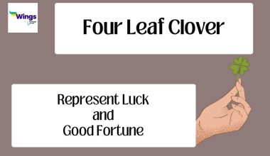 four-leaf-clover-meaning.