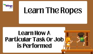 Learn The Ropes