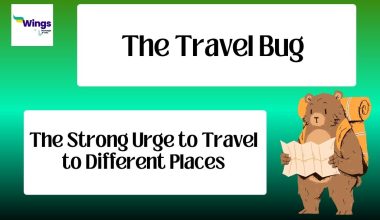 The travel bug
