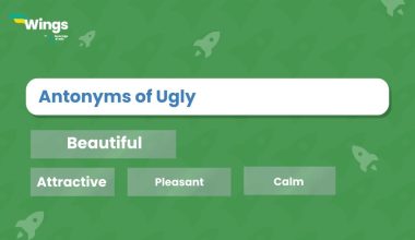 Antonyms-of-Ugly