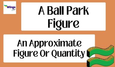a ball park figure