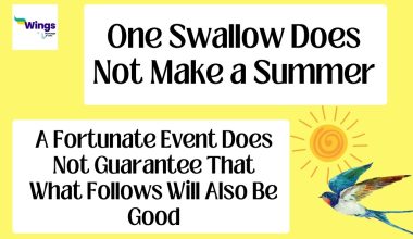 one swallow does not make a summer Meaning