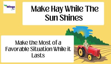 Make-hay-while-the-sun-shines