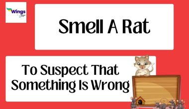 smell a rat idiom