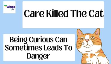Care Killed The Cat Idiom
