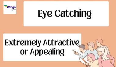 Eye-catching Meaning