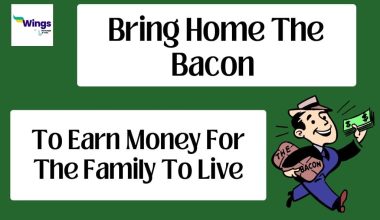 Bring home the bacon meaning