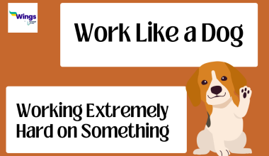 Work Like a Dog