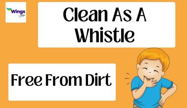 Clean as a whistle idiom meaning