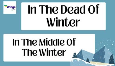 in the dead of winter idiom
