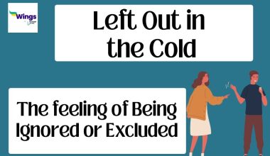 Left out in the cold