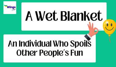 A Wet Blanket Idiom Meaning, Examples, Synonyms, and Quiz